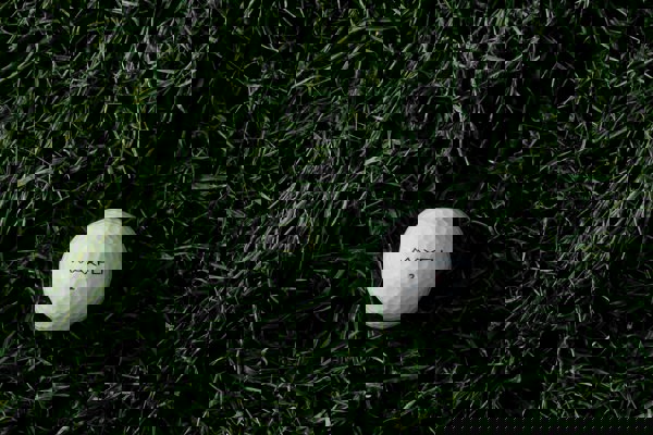 Medlemsavgifter 2026