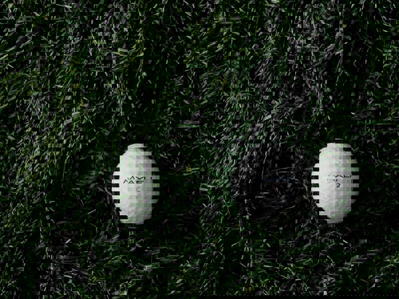 Medlemsavgifter 2026